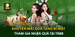 Khuyến Mãi Quà Tặng Bí Mật - Tham Gia Nhận Quà Tại TK88
