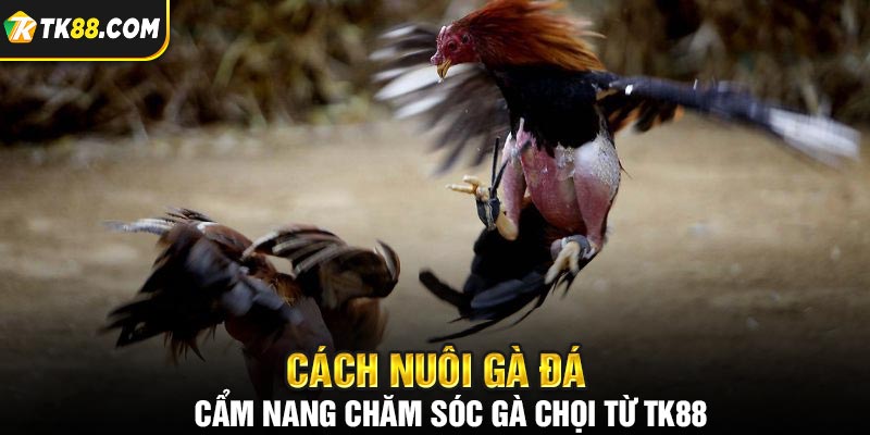 Phương pháp huấn luyện chiến kê chuẩn mục đích