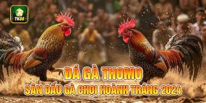 Đá Gà Thomo - Sân Đấu Cá Cược Hoành Tráng Hấp Dẫn 2024