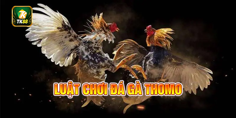 Tham khảo luật chơi trước khi tham gia