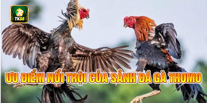 Các điểm vượt trội của sảnh thomo