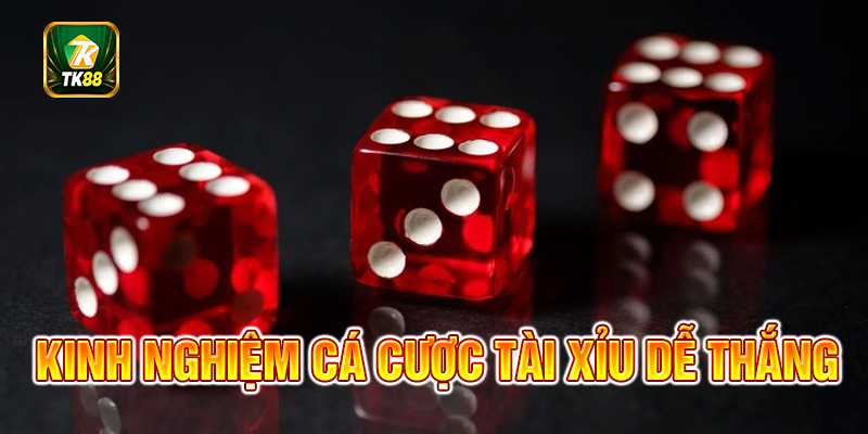 Những bí quyết đầy kinh nghiệm giúp bạn chiến thắng