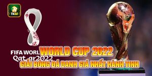 World Cup 2022 - Giải Đấu Ấn Tượng Với Nhiều Kỷ Lục Lịch Sử